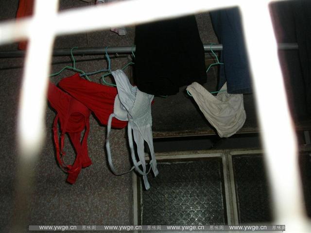 P8161640_调整大小.JPG