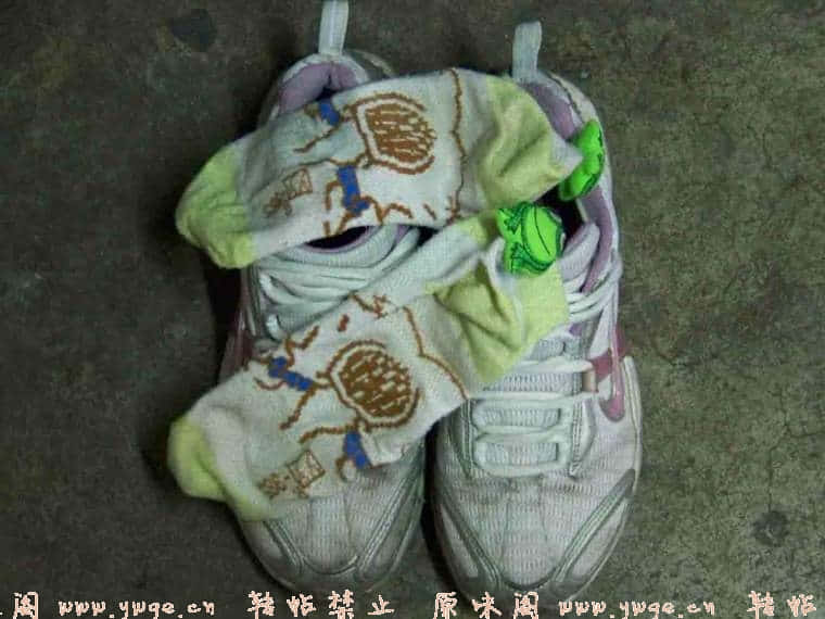 200791810414819268.jpg