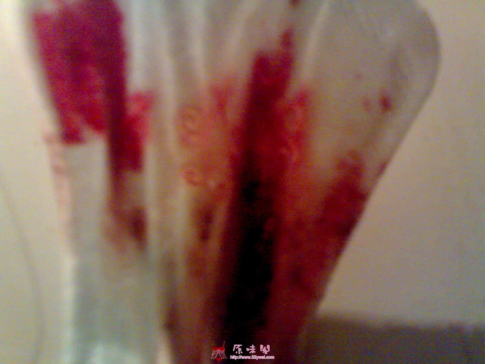 20100123(002).jpg