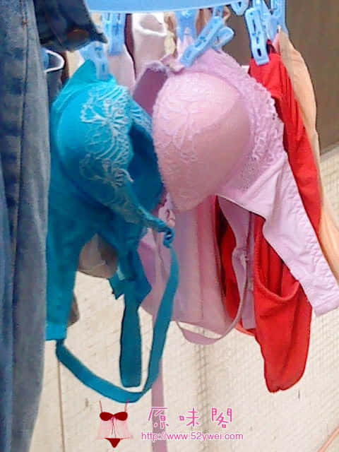 DSC00013.JPG