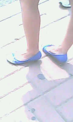 IMG1137A.jpg