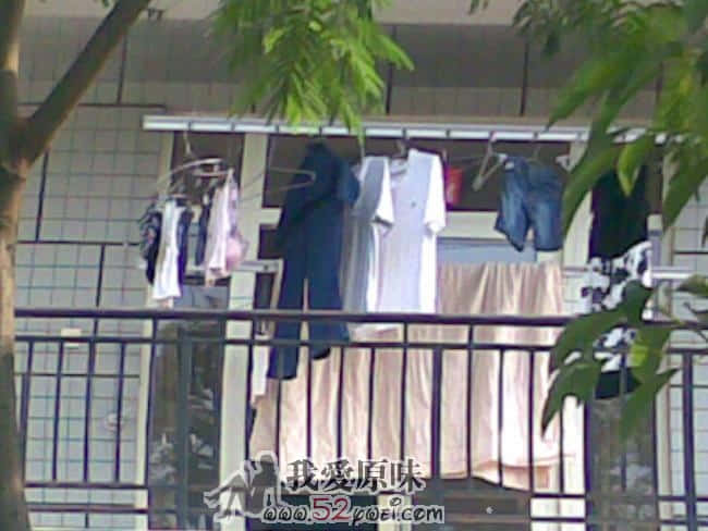 20090826(003).jpg