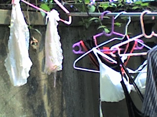 27-07-07_1430.jpg