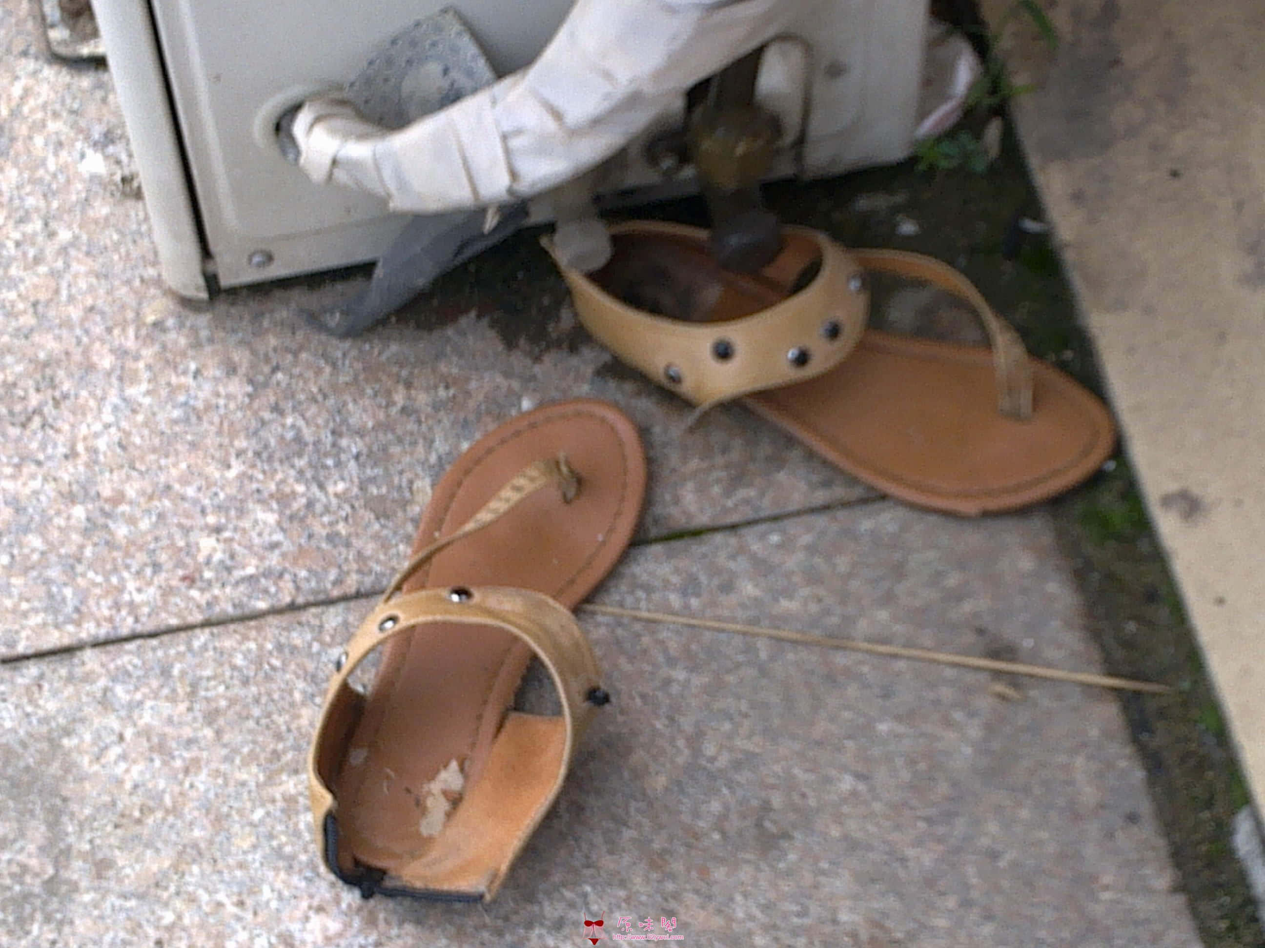 20110808323.jpg