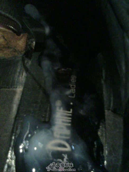 TS320129.JPG