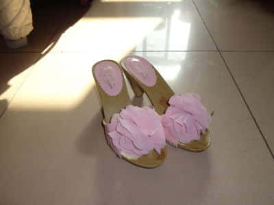 20116521581734.jpg