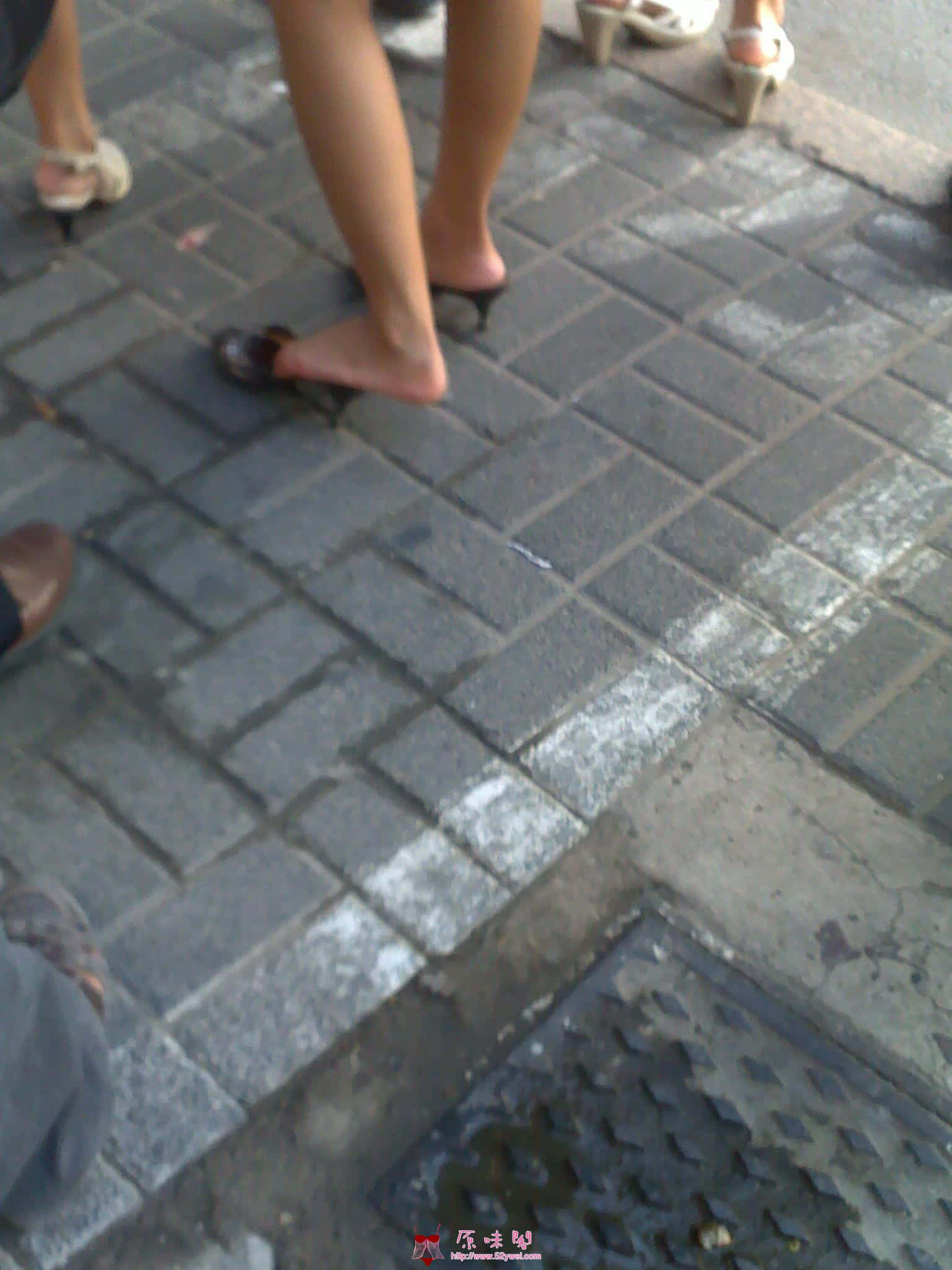 20100825079.jpg