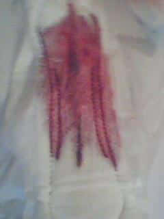 IMG0680A.jpg