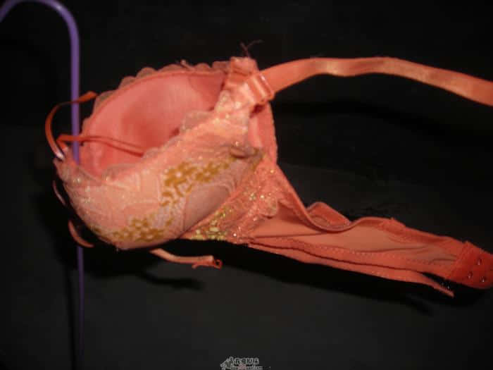 DSCN5420.JPG