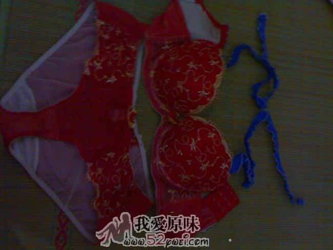 图像005.jpg