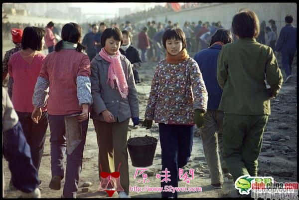 纯.jpg