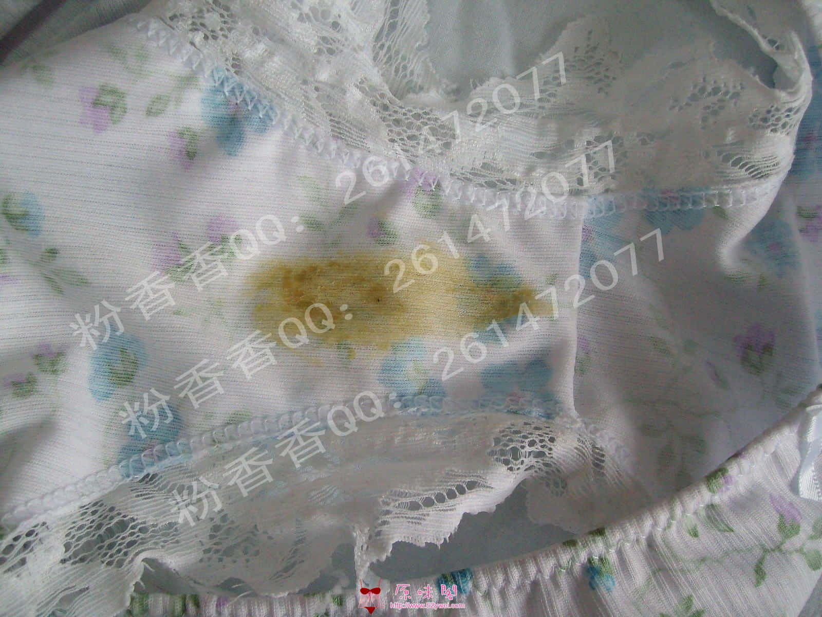 ALIM6806_conew1.jpg