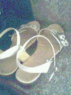 IMG0461A.jpg