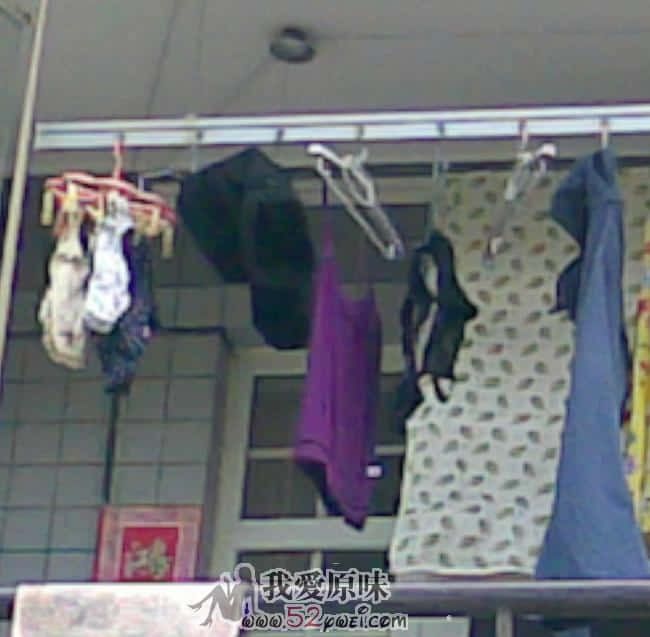 20090826(004)-001.jpg