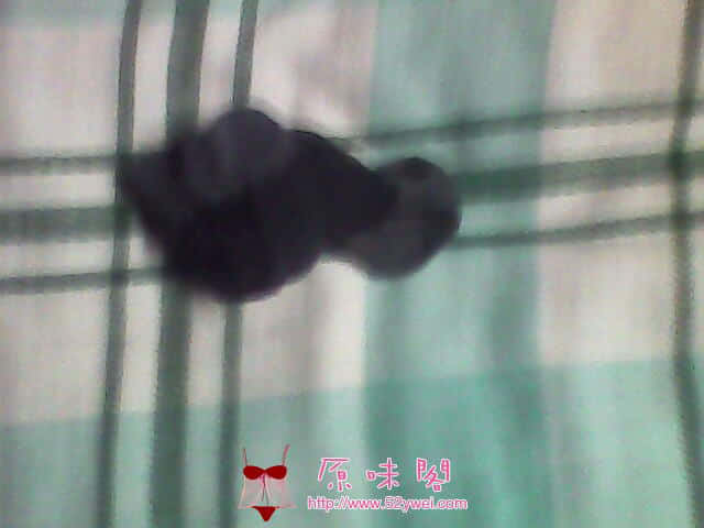 IMG0089A.jpg