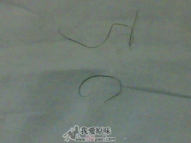 又收藏了一根MM毛毛，上面那根是自己的，做个对比。