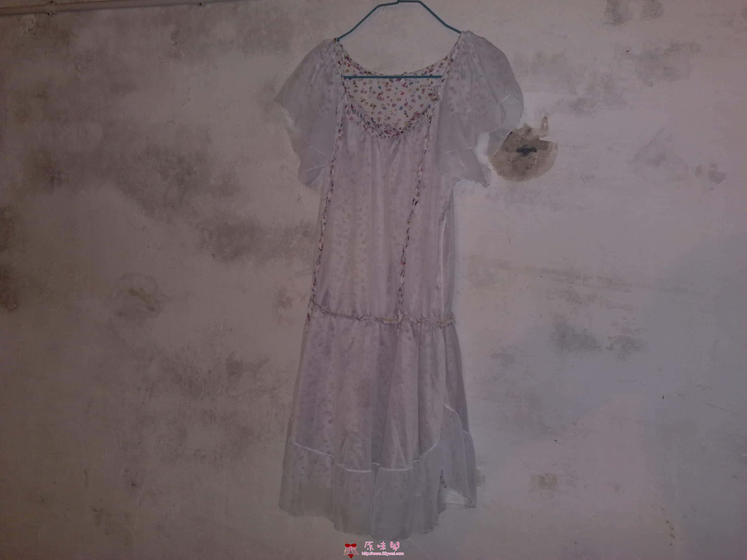 20100814681.jpg