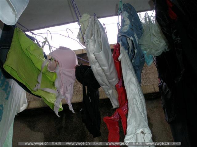P8281812_调整大小.JPG