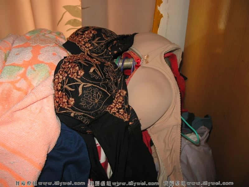 老婆的姐姐的哦