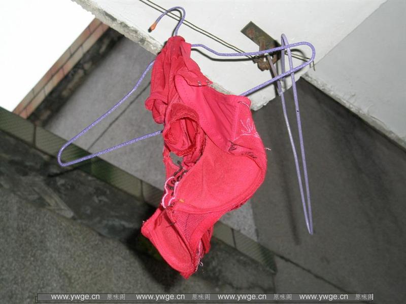 P9172020_调整大小.JPG