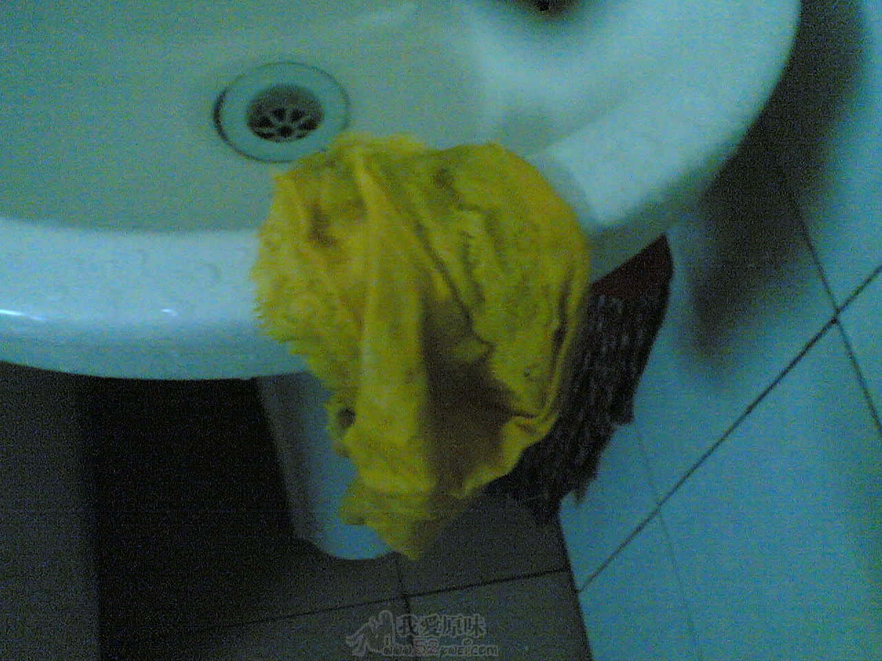 20100112.jpg
