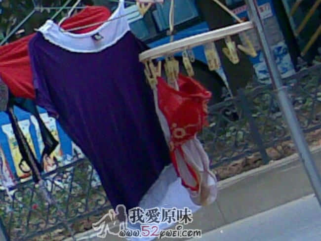 20090825(004_3).jpg