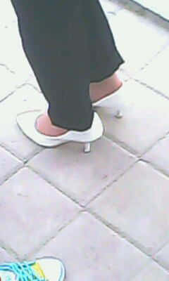 IMG2032A.jpg
