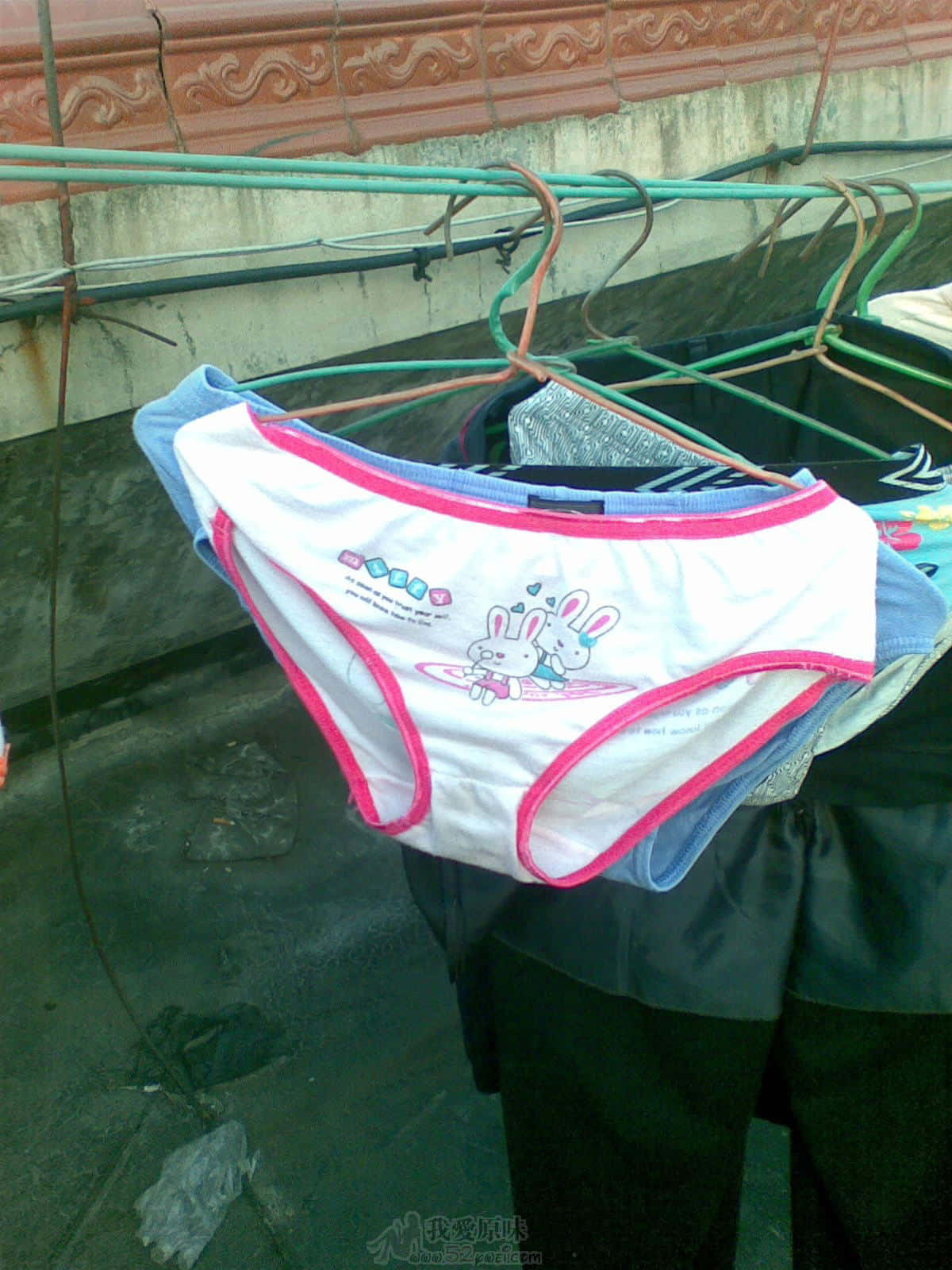 图像007.jpg