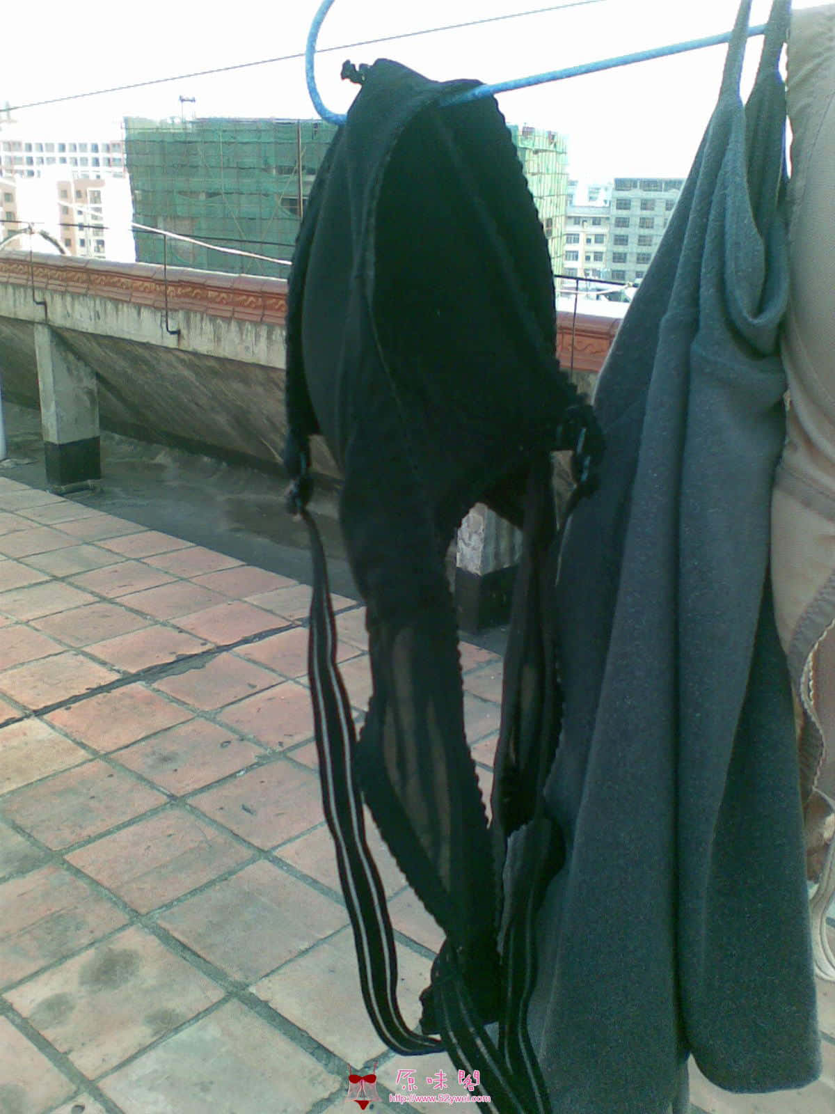 图像100.jpg