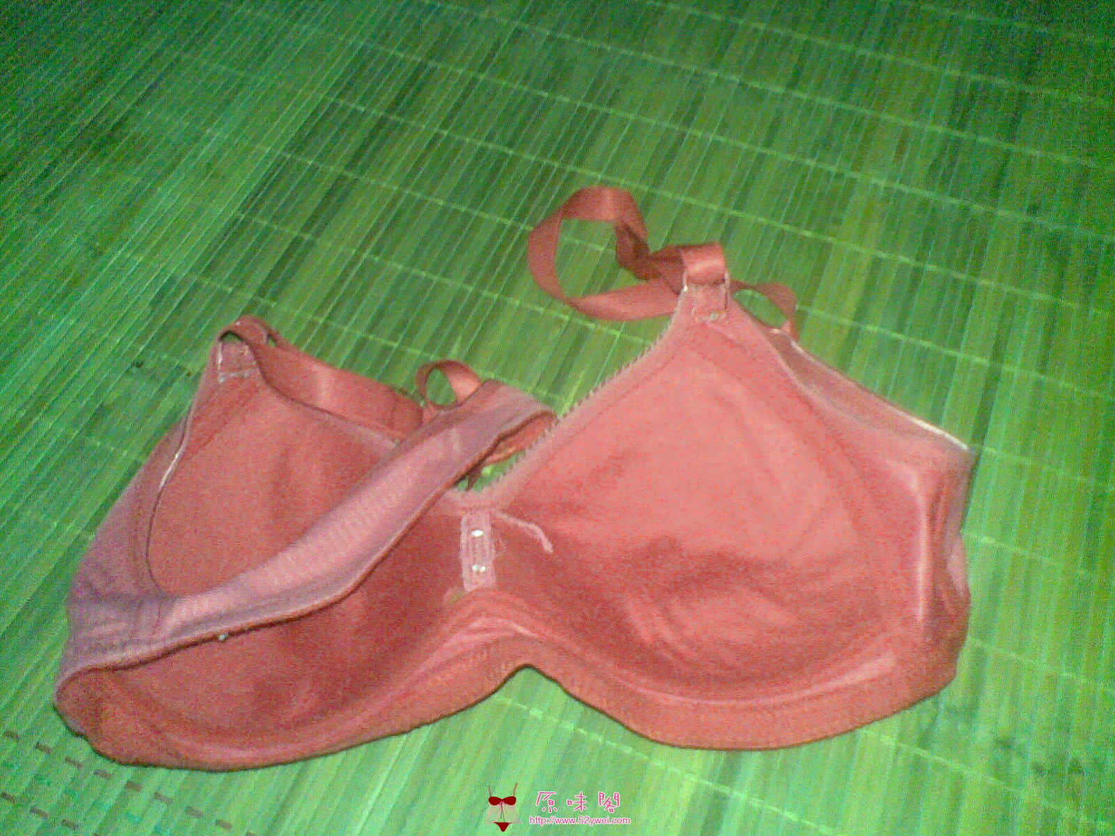 20100125_005.jpg