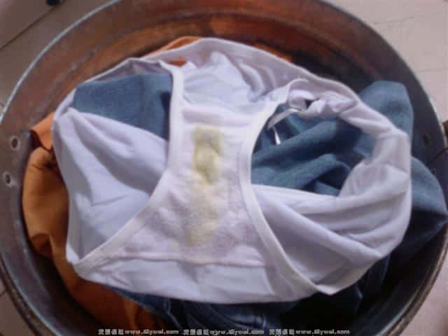 3-lxyP20071214 (1).jpg