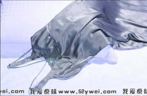 5O0AAI35200644112055.jpg