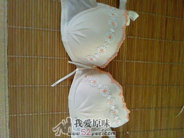 照片-0030.jpg