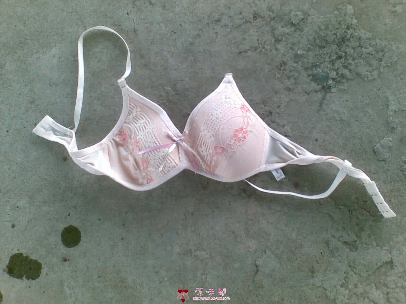 图像010.jpg