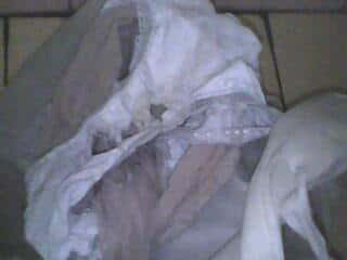 IMG0964A.jpg