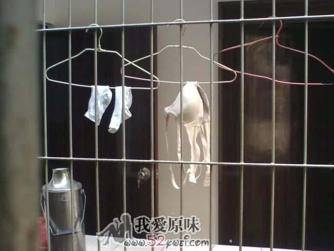 20090803123.jpg