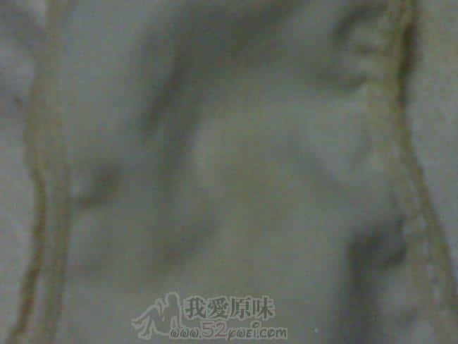 20090120065.jpg