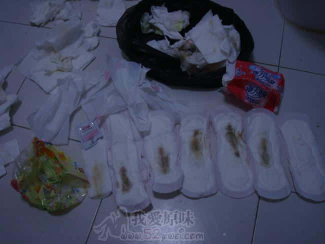 DSC005.jpg