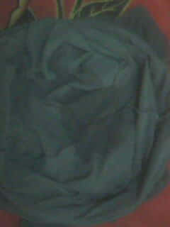 IMG0141A.jpg