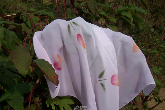 100_6087.jpg