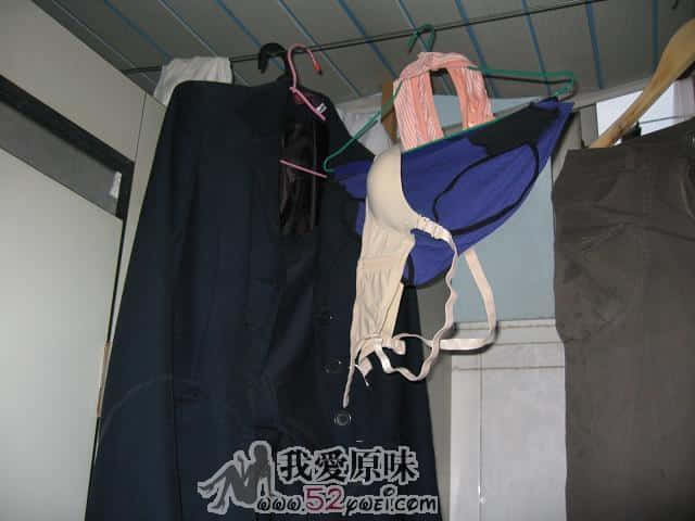 IMG_2282.JPG