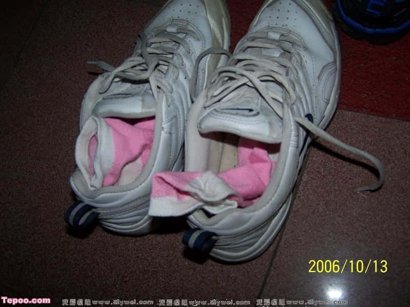 会看见