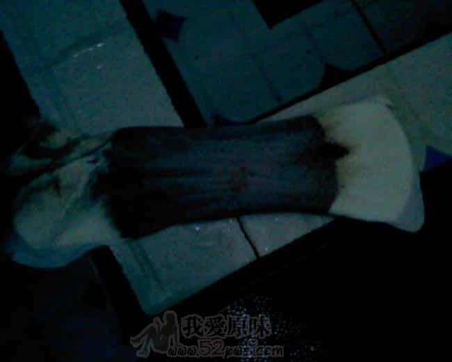 IMG0248A.jpg