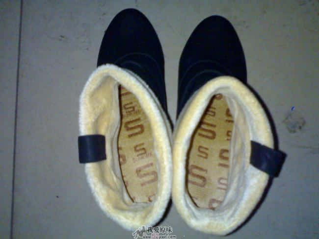 20090118856.jpg