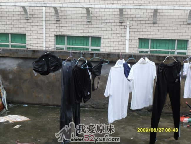 SDC12698.JPG