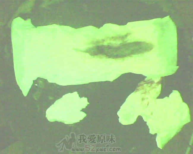 IMG0183A.jpg