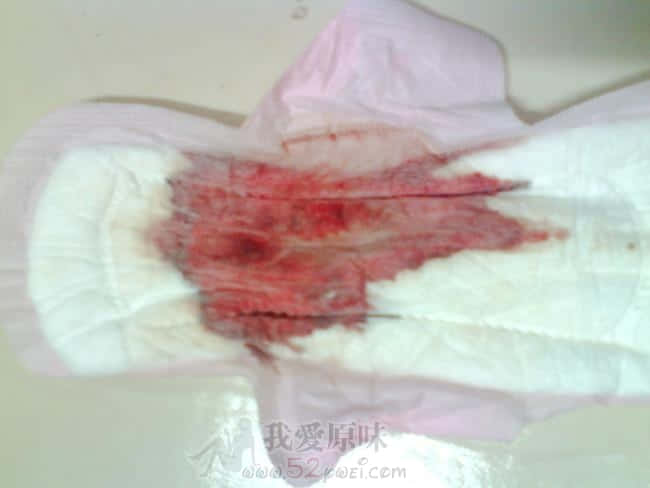IMG0225A.jpg