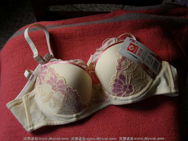 P1200097.jpg