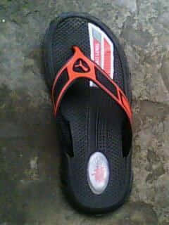 IMG0004A.jpg