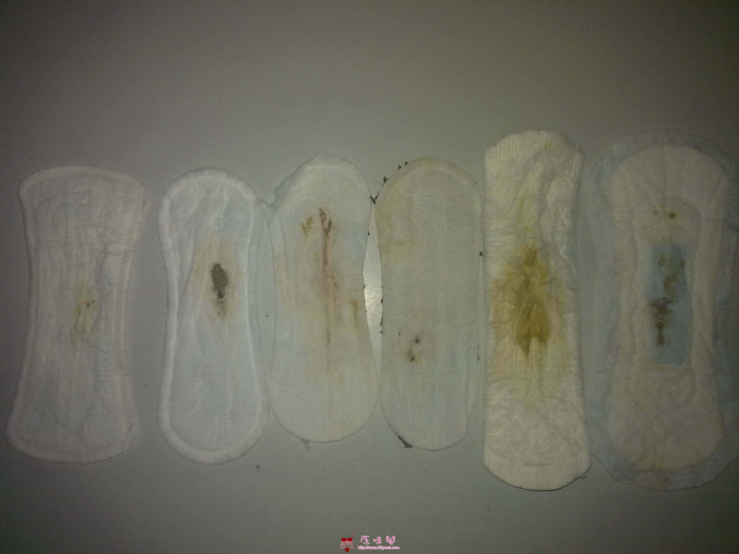 20120731987.jpg